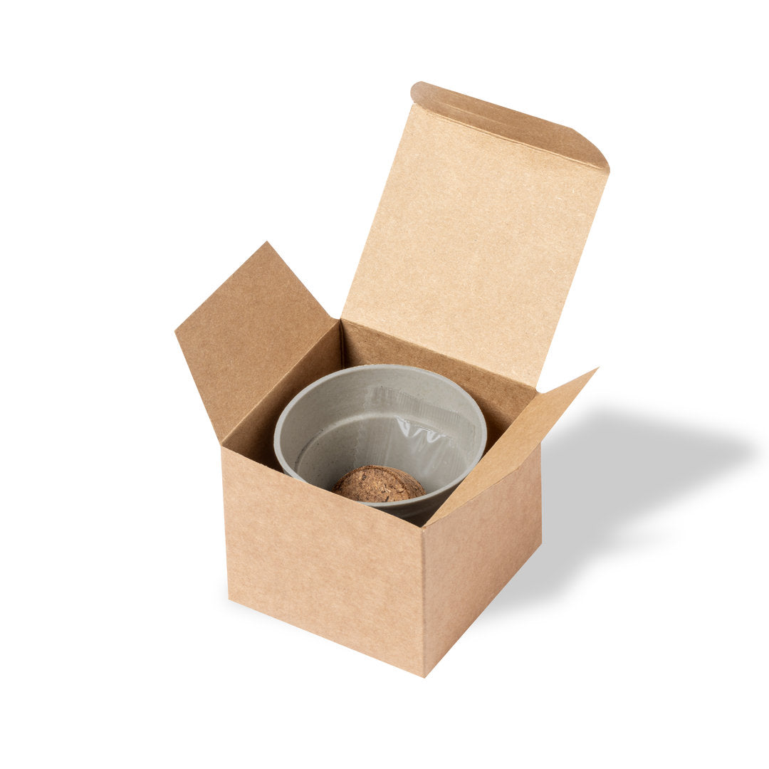 Tumil Biodegradable Nature Pot with Sunflower Seeds