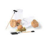 Winsu Seed Bonbon – Sustainable Promotional Gift from Fou Tees Ireland