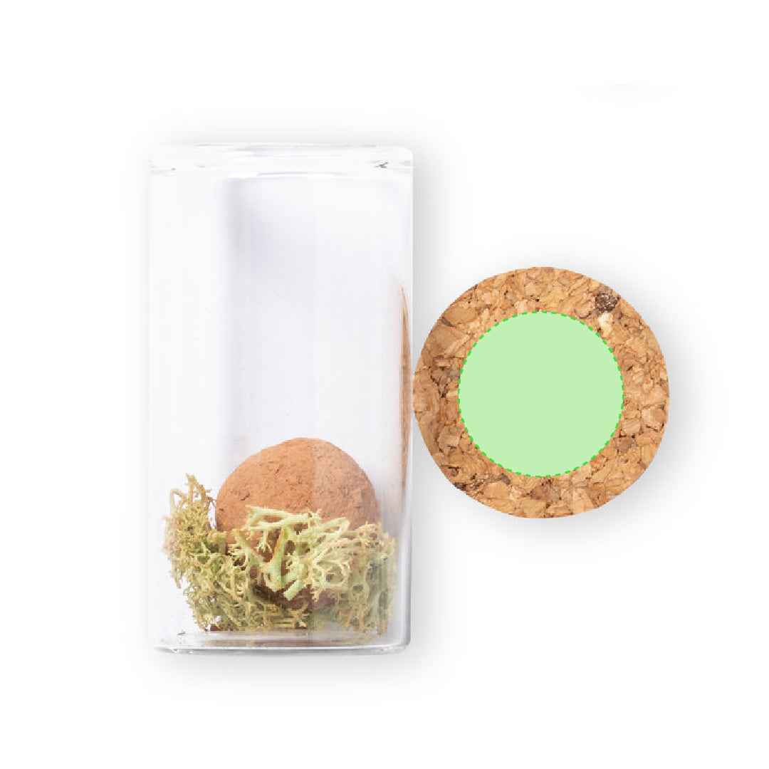 Winsu Seed Bonbon – Sustainable Promotional Gift from Fou Tees Ireland