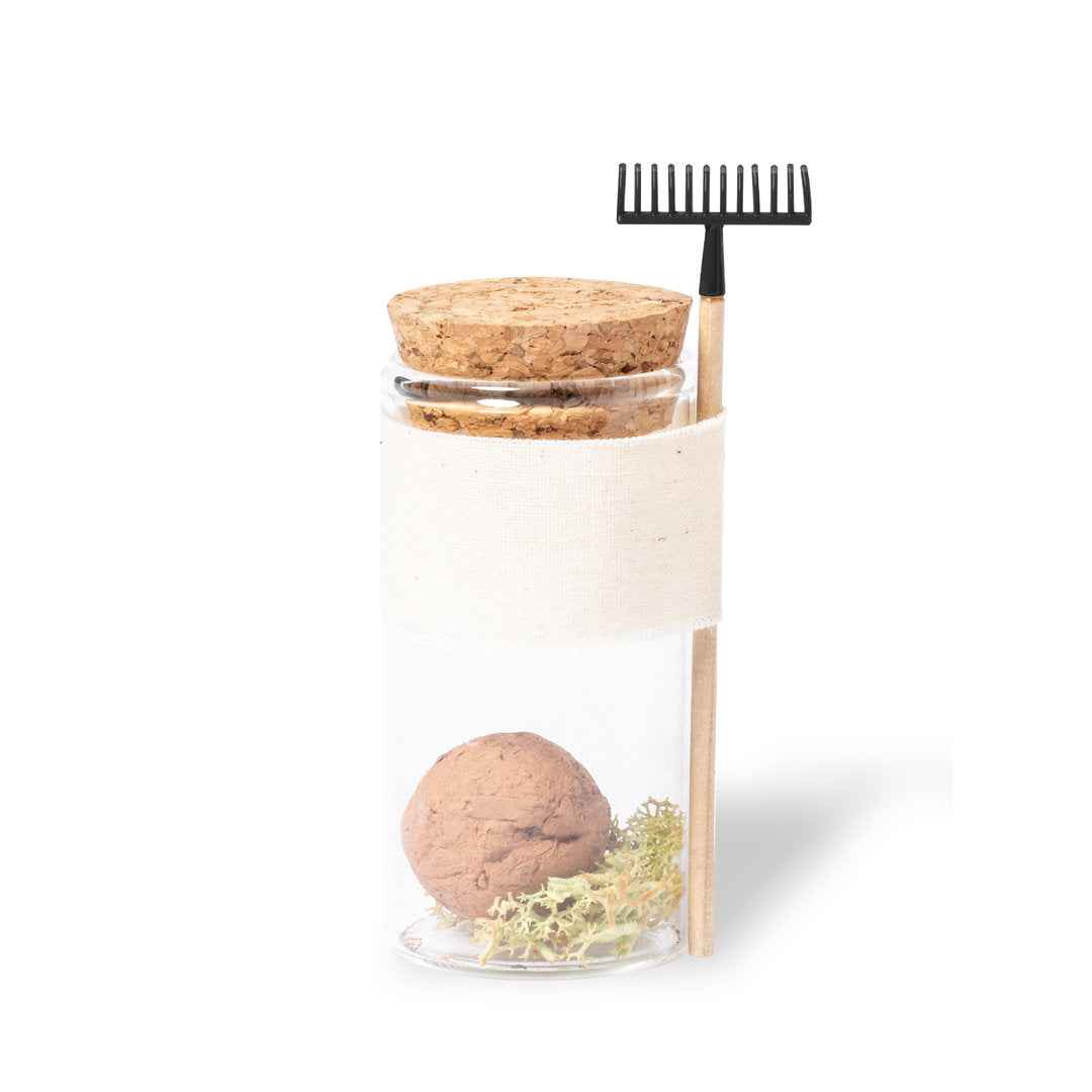 Winsu Seed Bonbon – Sustainable Promotional Gift from Fou Tees Ireland