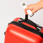 luggage scale bulk orders - Daley