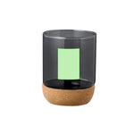 Bixlo Glass Tumbler – Durable and Stylish Sustainable Drinkware