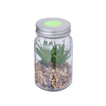 Kyala Decorative Plant – Elegant LED-lit Glass Ornament for Businesses and Events