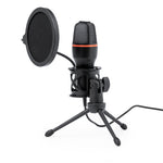 Densha Condenser Microphone for Professional Audio Use