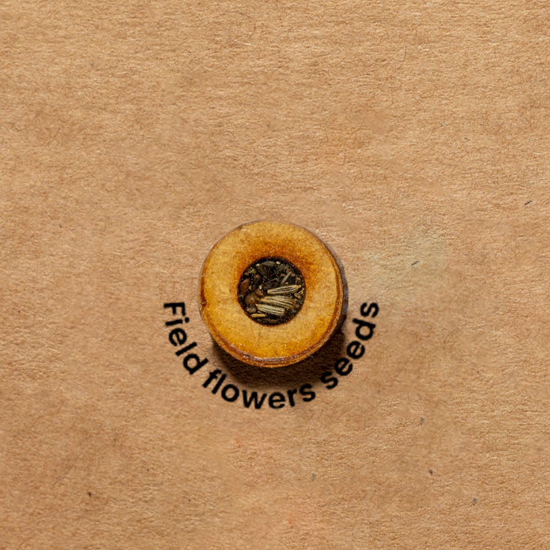 Hakala Recycled Cardboard Seed Folder for Sustainable Office Use