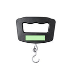 Niben Digital Scale – Reliable Bulk Orders for Irish Businesses