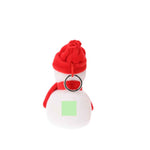 Cardix Soft Teddy Key Rings – Festive Promotional Gifts for Irish Businesses