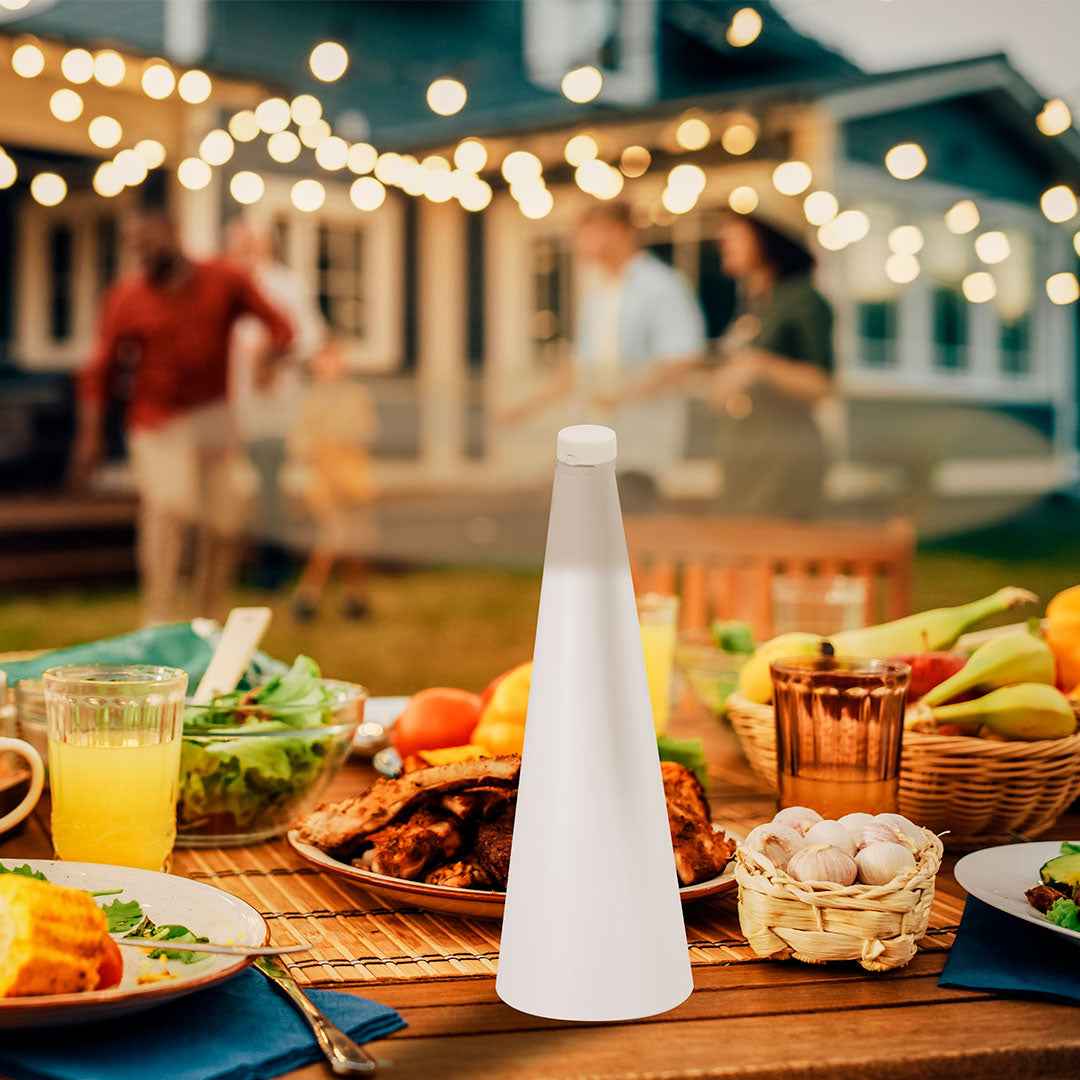 Zuriko Fly Repellent Fan – Effective and Silent Insect Control