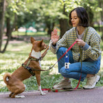 Kesler Pet Waste Bag Dispenser for Businesses and Events