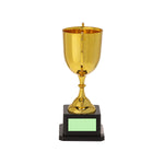 Nynor Trophy – Elegant Golden Finish Award for Bulk Orders | Fou Tees Ireland