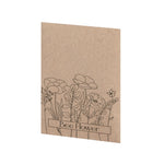 Balvor Wildflower Seed Mix Gift for Corporate and Promotional Use