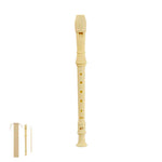 Drionax Flute – Durable and Portable Musical Instrument for Schools and Events
