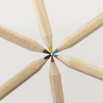 Osprey Wooden Pencils – Quality Bulk Sets for Irish Businesses