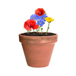 Mussox Seed Balls for Irish Businesses and Events | Fou Tees Ireland