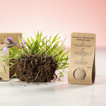 Mussox Seed Balls for Irish Businesses and Events | Fou Tees Ireland