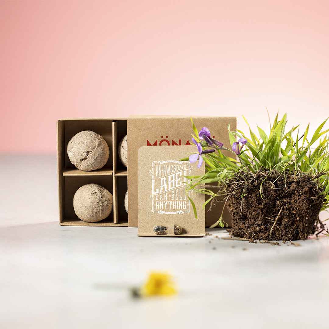 Biyok Seed Capsule – Sustainable Promotional Gift for Irish Businesses