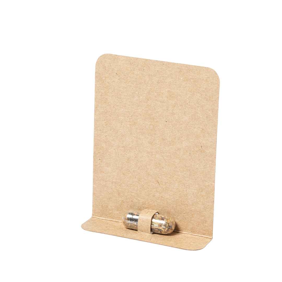Biyok Seed Capsule – Sustainable Promotional Gift for Irish Businesses
