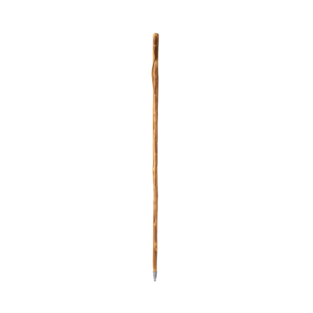 Tamdar Traditional Walking Stick – Durable Natural Wood Walking Aid