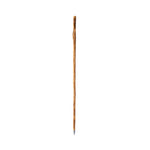 Tamdar Traditional Walking Stick – Durable Natural Wood Walking Aid