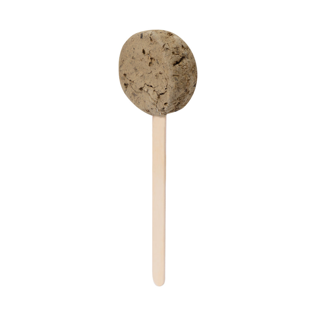 Ebeldy Seed Lollipop Wildflowers – Sustainable Promotional Gift