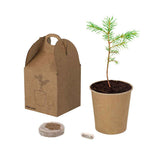 Vencor Promotional Pot – Sustainable Corporate Gift from Fou Tees Ireland