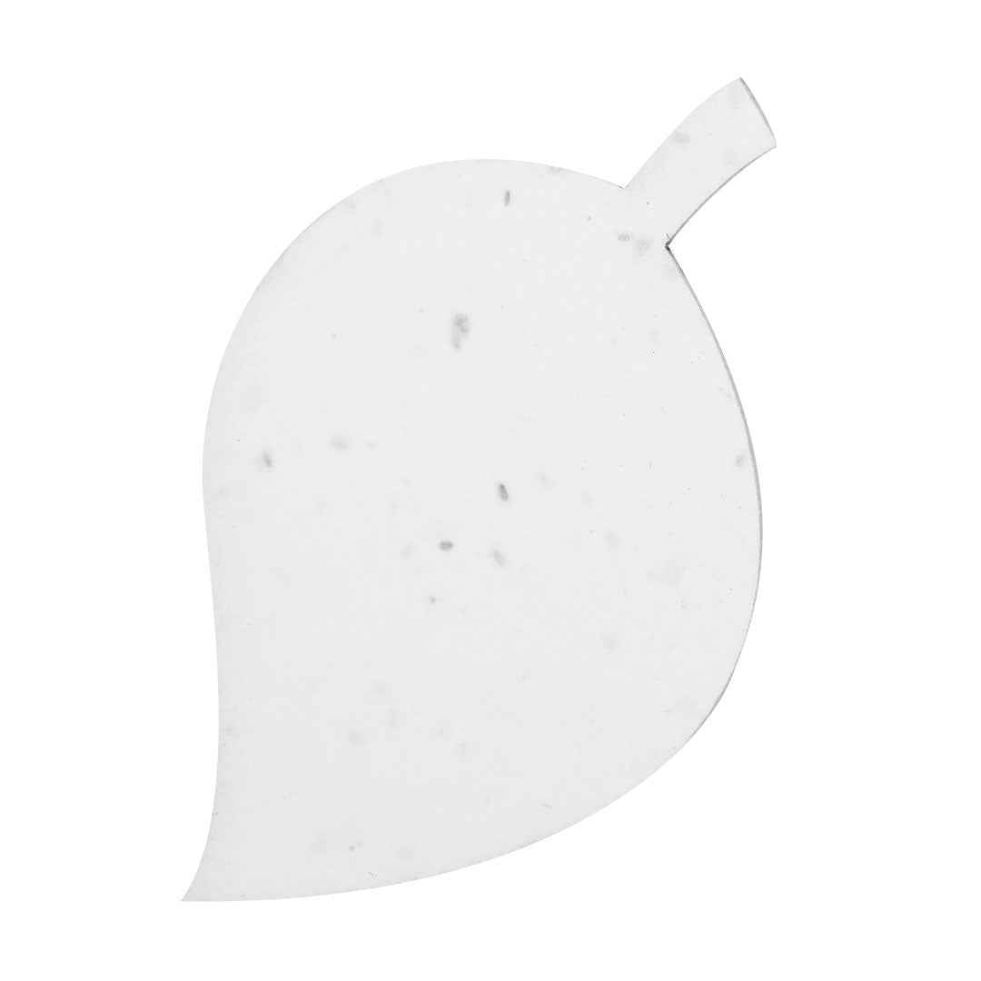 Cryar Seed Paper Wildflowers – Sustainable Plantable Cards by Fou Tees Ireland