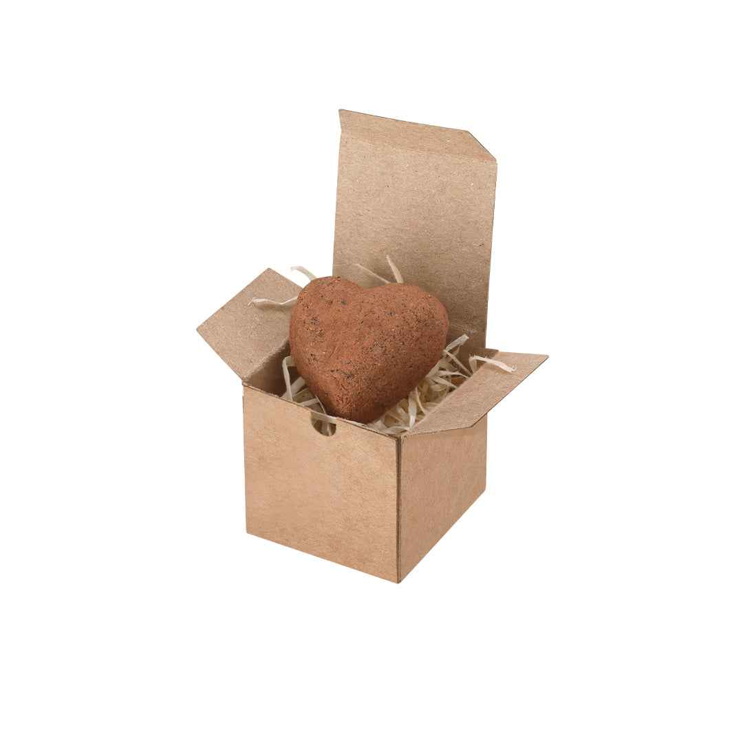 Fobin Wildflower Seed Chocolate Box – Eco-Friendly Promotional Gift