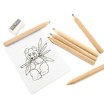 Figgy colouring set – Eco-friendly kids' art supplies in Ireland
