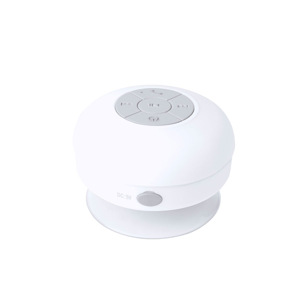 Rariax Bluetooth Speaker Bulk Orders for Irish Businesses