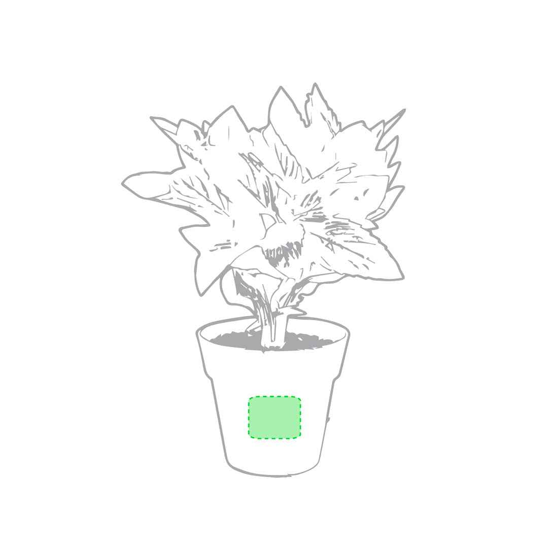 Nertel Sustainable Pots - Peppermint & Parsley Growing Set