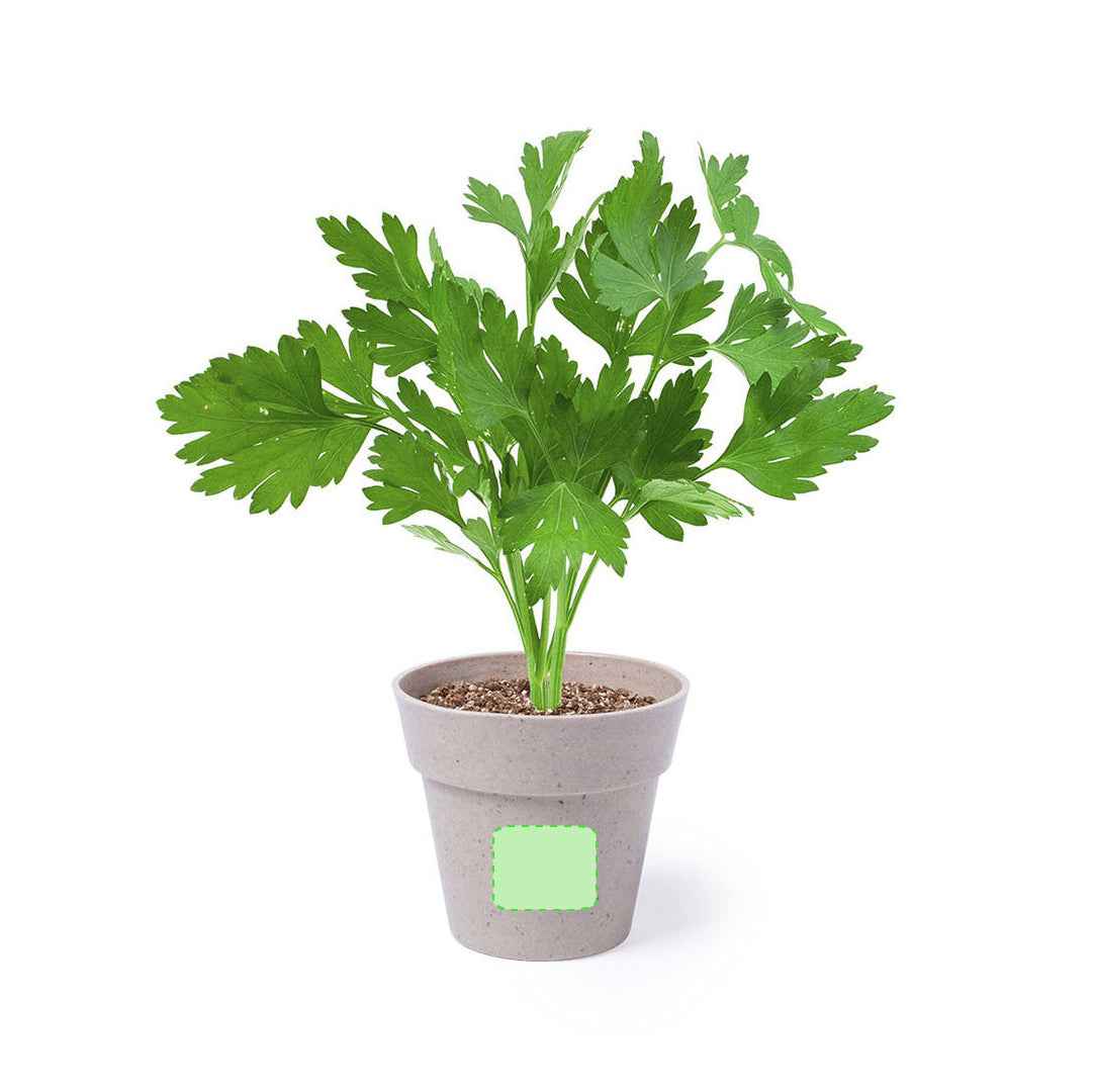 Nertel Sustainable Pots - Peppermint & Parsley Growing Set