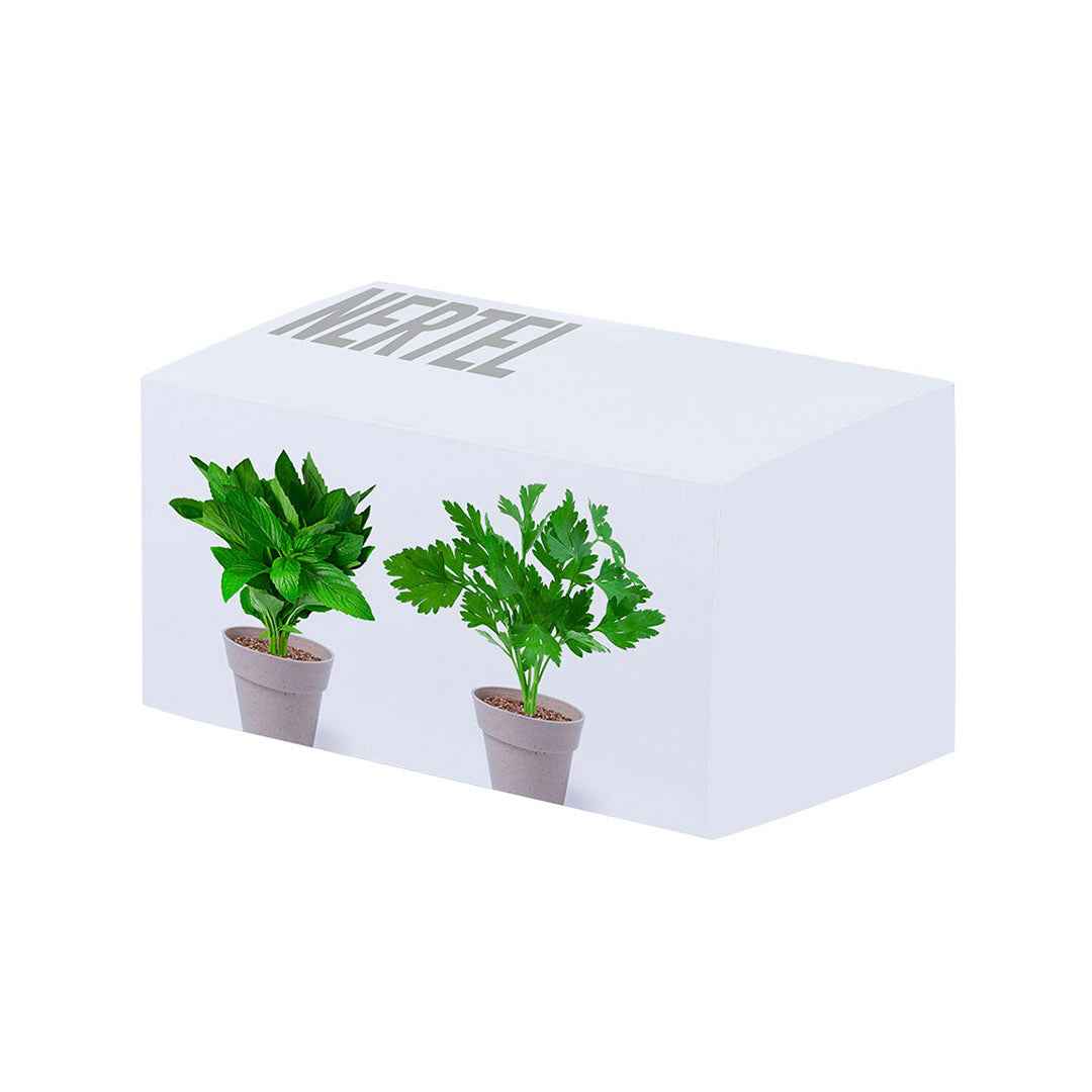 Nertel Sustainable Pots - Peppermint & Parsley Growing Set