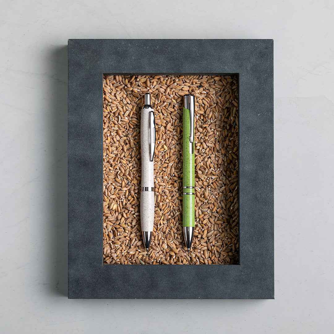 Prodox Sustainable Ball Pen – Eco-Friendly Writing Instrument for Irish Businesses