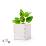 Merin Sustainable Gift – Eco-Friendly Promotional Product for Irish Businesses