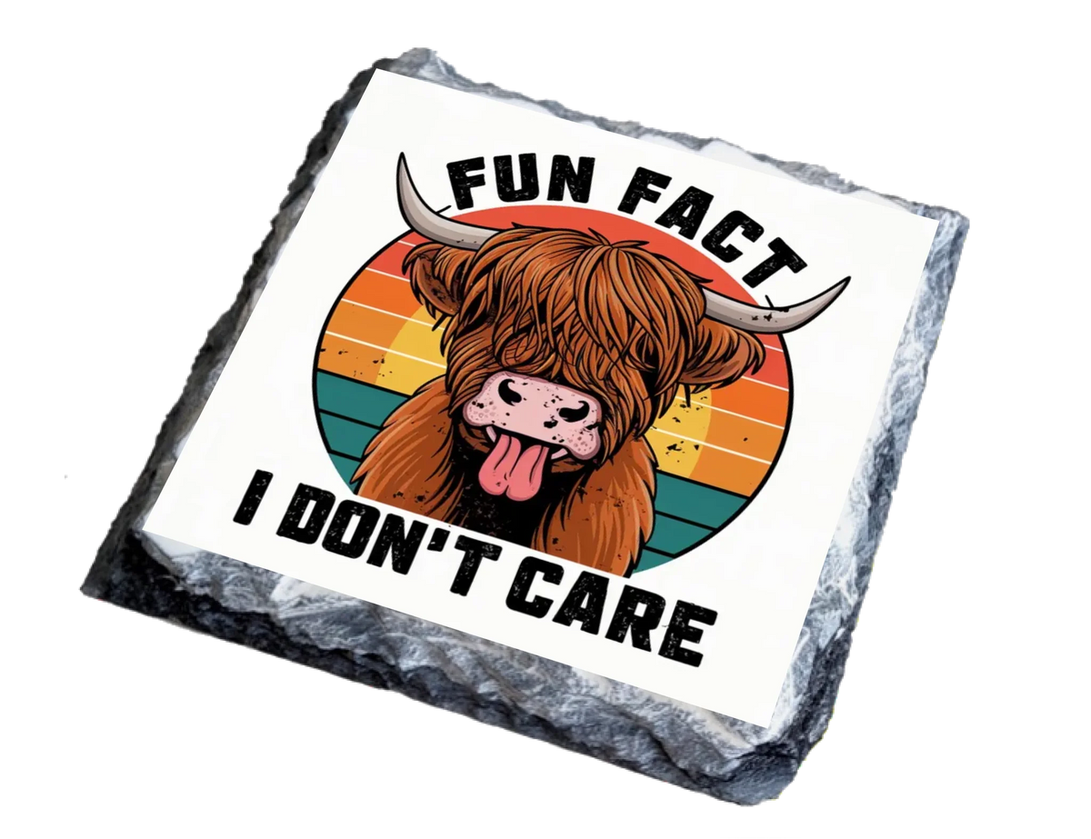 Fun Fact I Don't Care - Slate Coaster | Natural Slate Coaster by Fou Tees