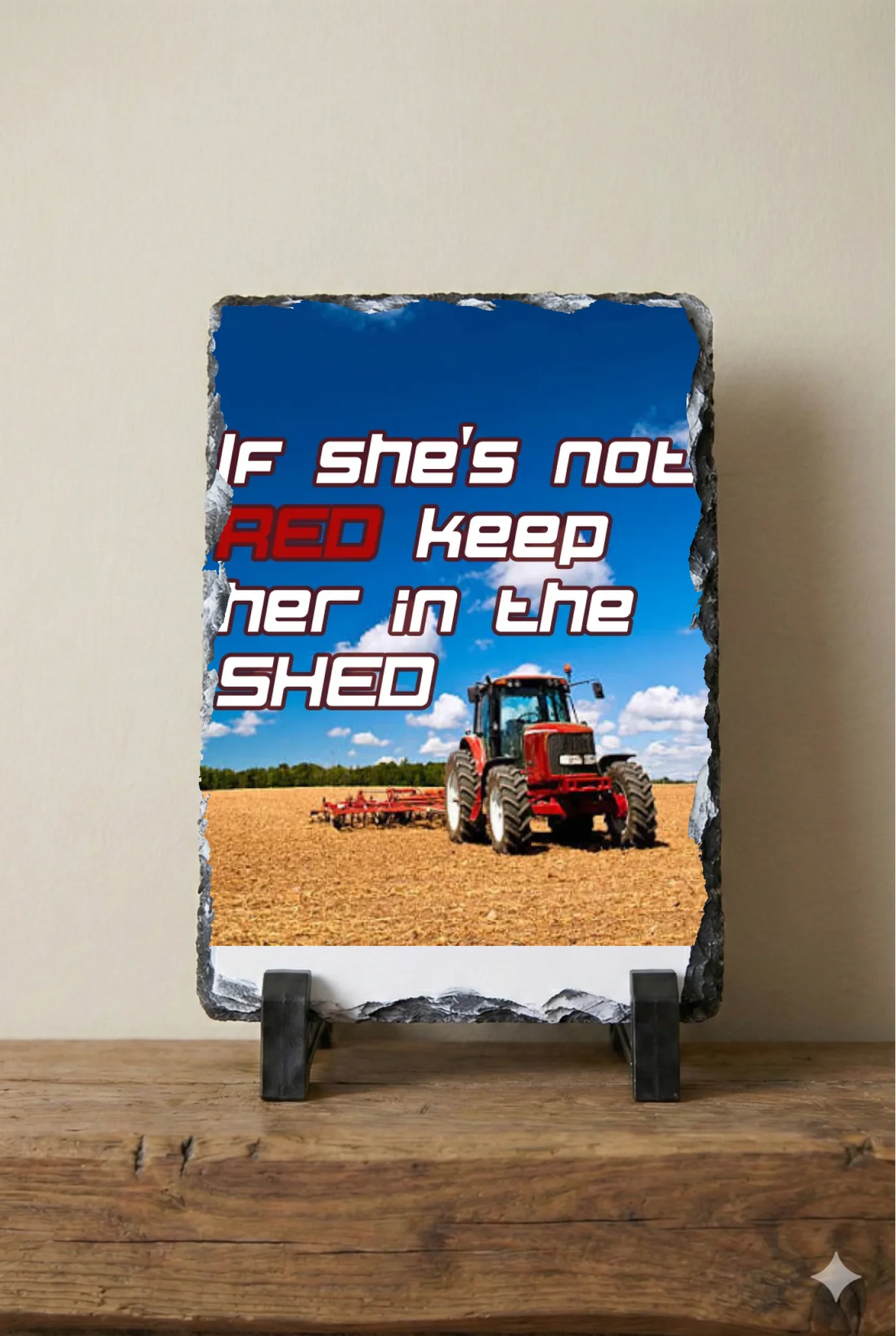 If She's Not Red Keep Her In The Shed - Slate