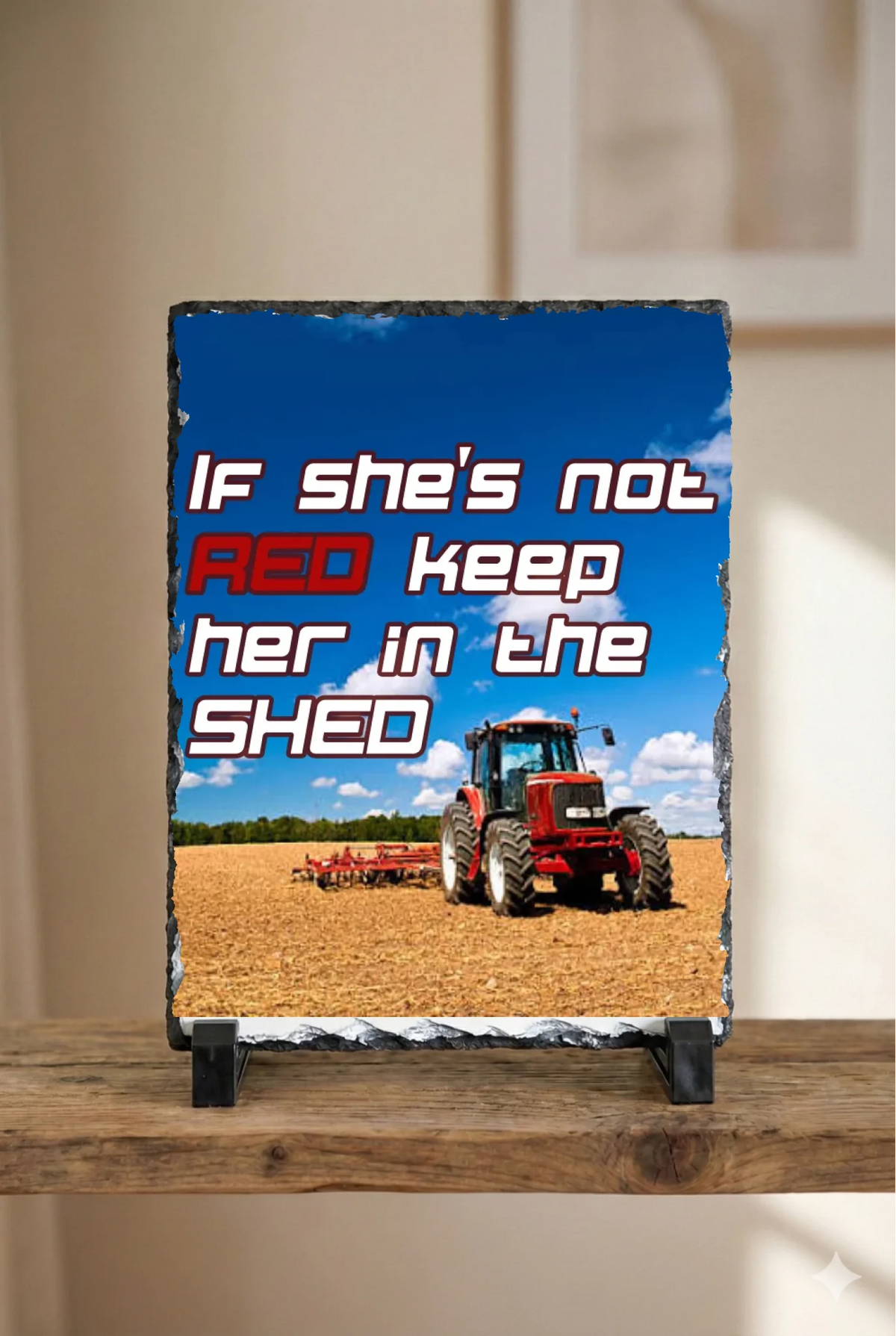 If She's Not Red Keep Her In The Shed - Slate