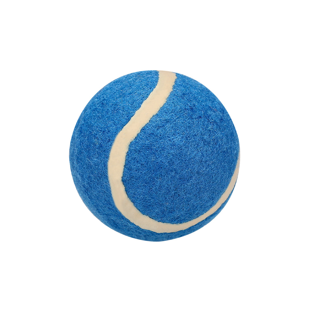 Niki Pet Ball – Durable Rubber Toy for Pets