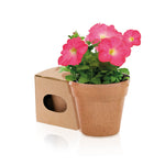 Nature Line Pot with Petunia Seeds – Sustainable Gifts from Fou Tees Ireland