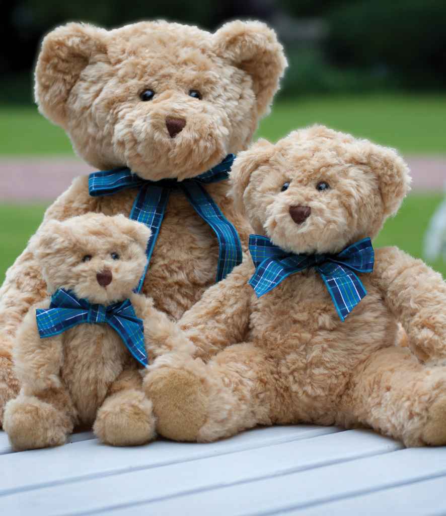 Mumbles Bracken Bear – Soft Toy Photo Gift from Fou Tees Ireland