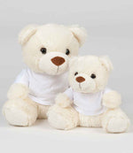 Mumbles Bear in a T-Shirt – Quality Soft Toy by Pencarrie