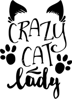 Crazy Cat Lady2