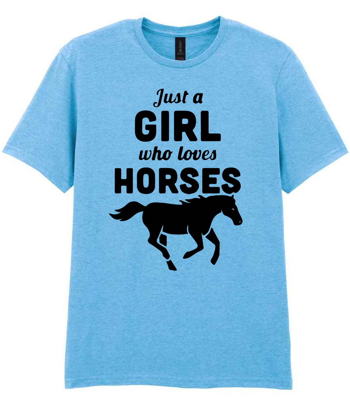Girl Who Loves Horses t-shirt in sky blue