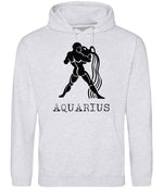 Aquarius hoodie in ash