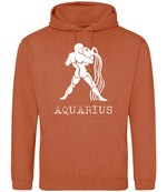 Aquarius hoodie in ginger biscuit