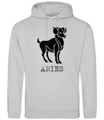 Aries hoodie in moondust grey