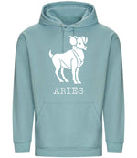 Aries – Unisex Hoodie in Seafoam