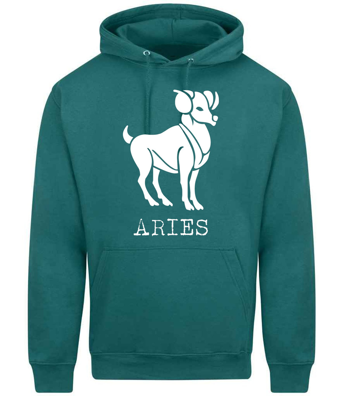 Aries hoodie in teal