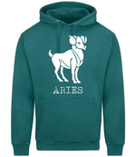 Aries hoodie in teal