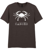 Cancer t-shirt in dark chocolate